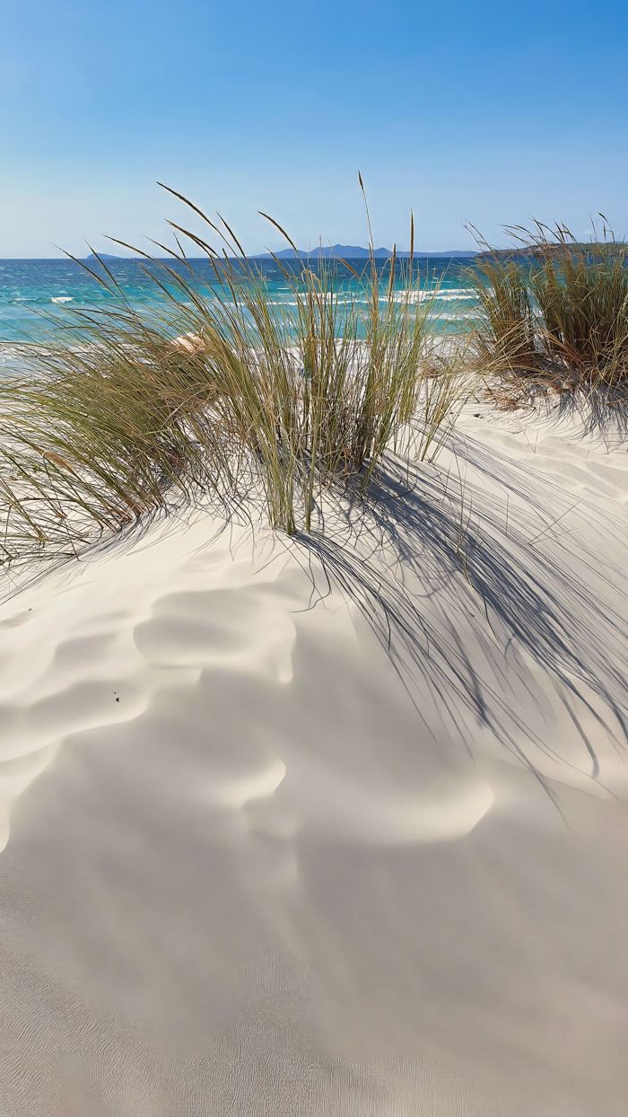 Düne mit Strandhafer an einem Strand auf Sardinien